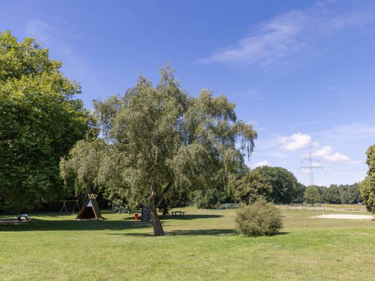 Rasenfläche mit Bäumen und Spielgerät