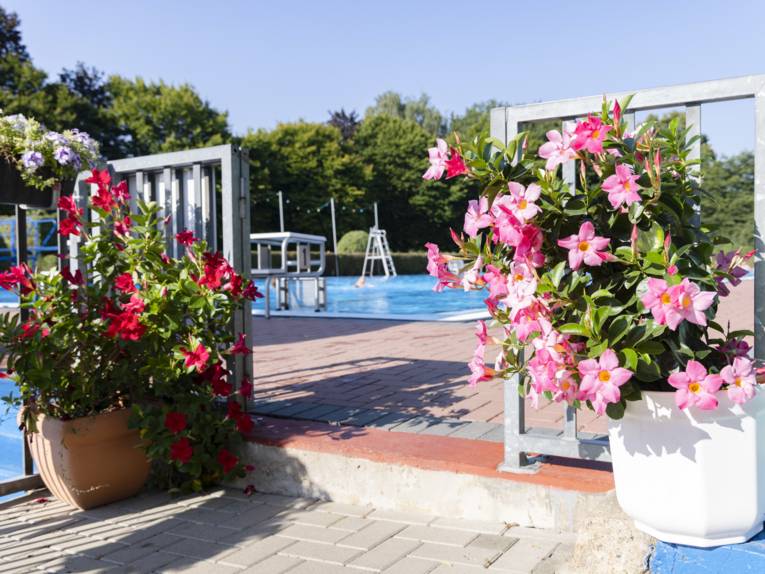 Zwei Topfpflanzen am Eingang zum Schwimmbereich