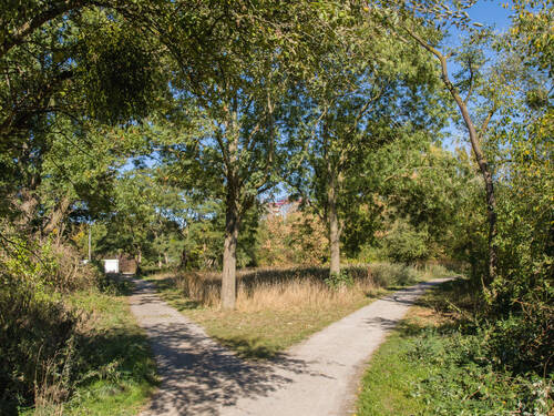 Ein Weg gabelt sich auf in zwei Wege, einer führt nach links und einer nach rechts. Ein Weg gabelt sich auf in zwei Wege, einer führt nach links und einer nach rechts.